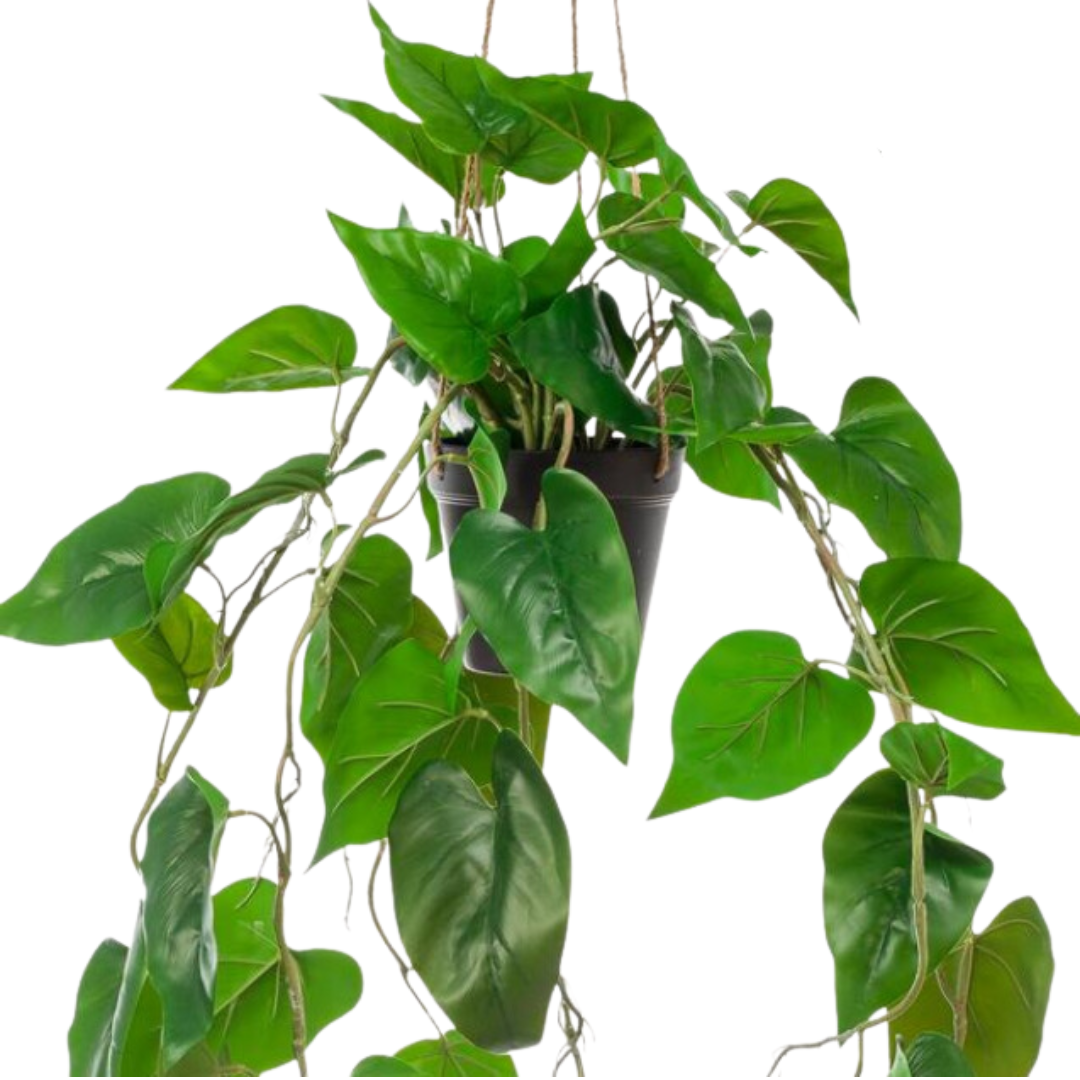 Kunstplant - Philodendron scandens - Klimmende Boomliefhebber - 80 cm