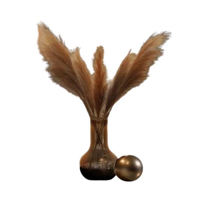 Kunstbloemen Solo - x 6 - 115cm - Pampas Plumes - Brown