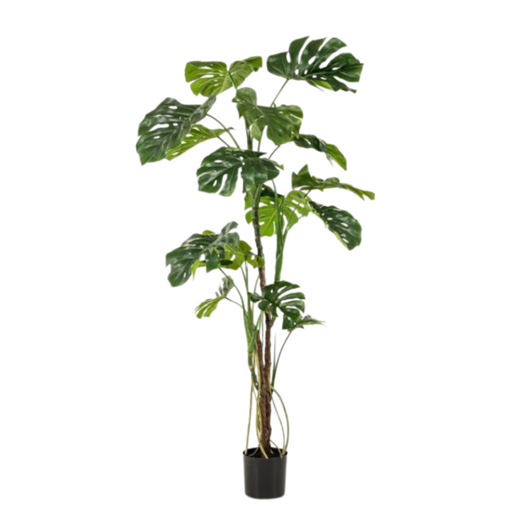 kunstplant - Monstera  - Gatenplant - 180cm