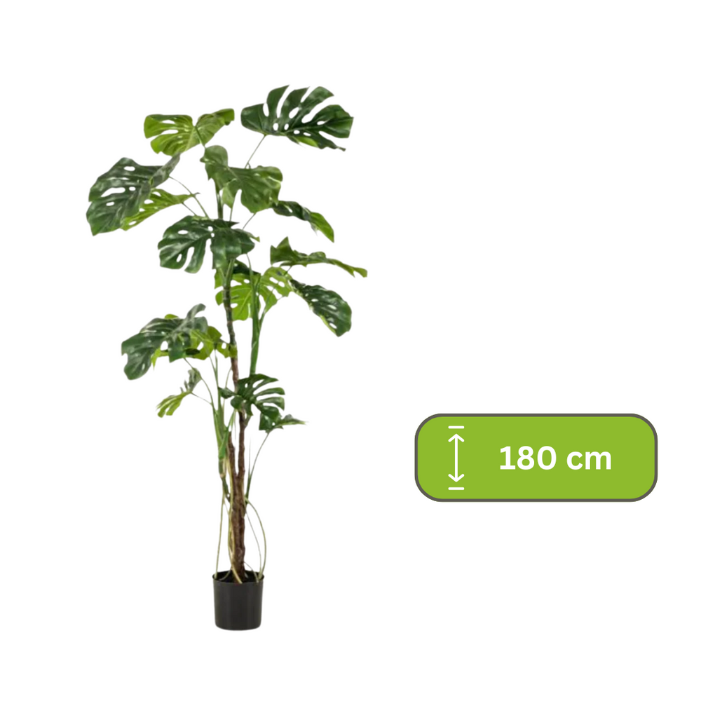 kunstplant - Monstera  - Gatenplant - 180cm