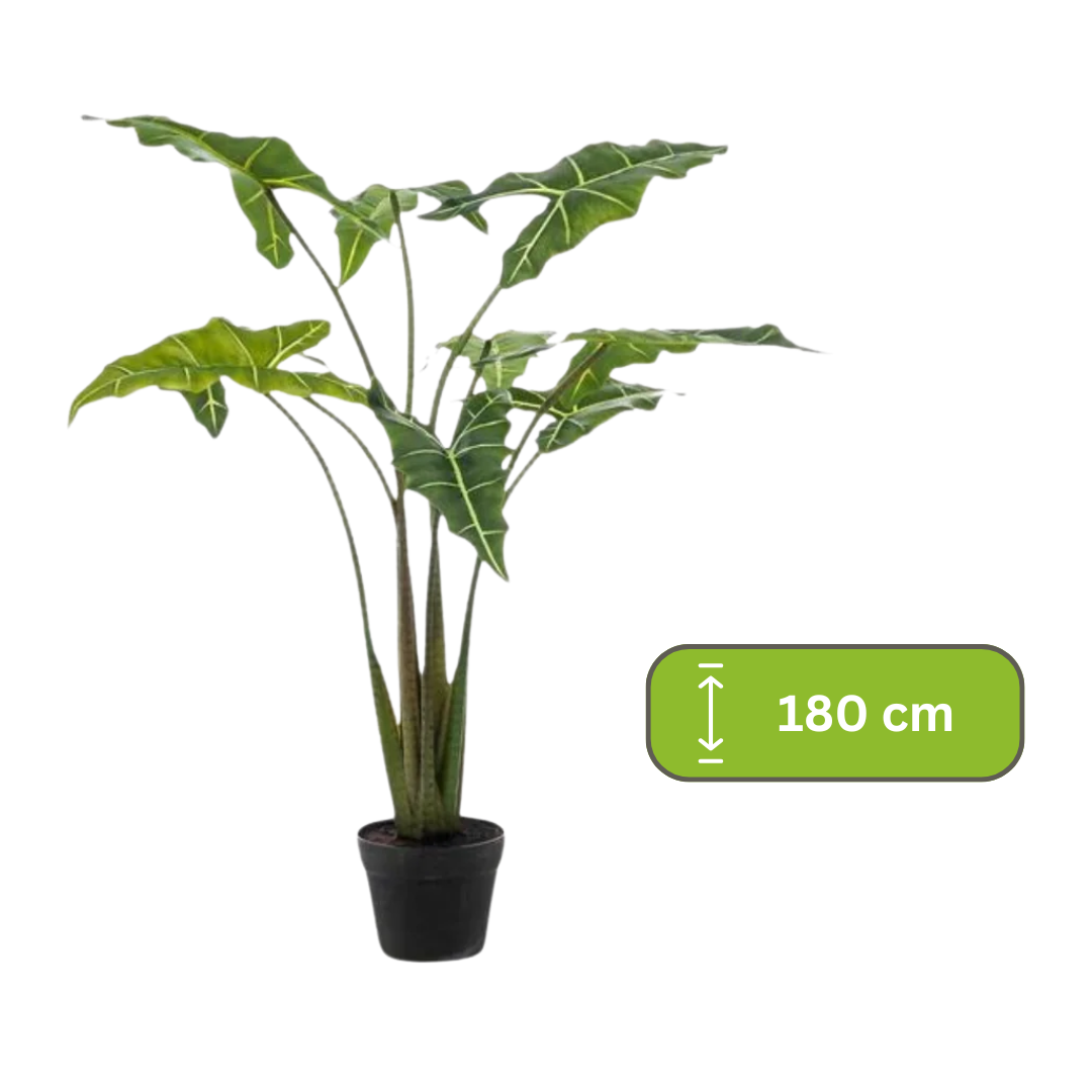 Kunstplant - Alocasia - Olifantsoor - 180 cm