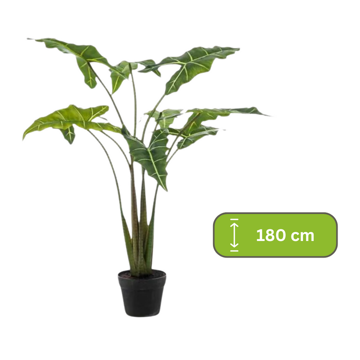 Kunstplant - Alocasia - Olifantsoor - 180 cm