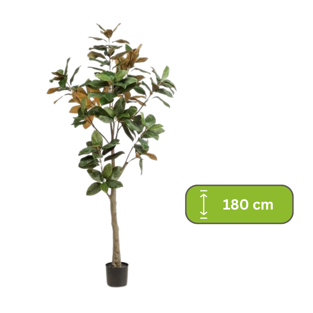 Kunstplant - Magnolia Grandiflora - 180 cm