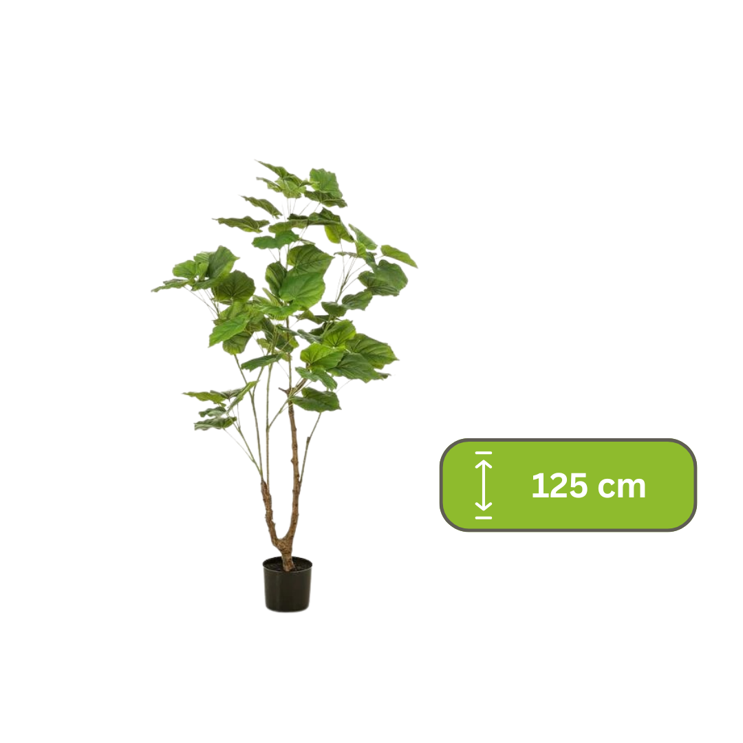 Kunstplant - Ficus umbellate - Afrikaanse vijg