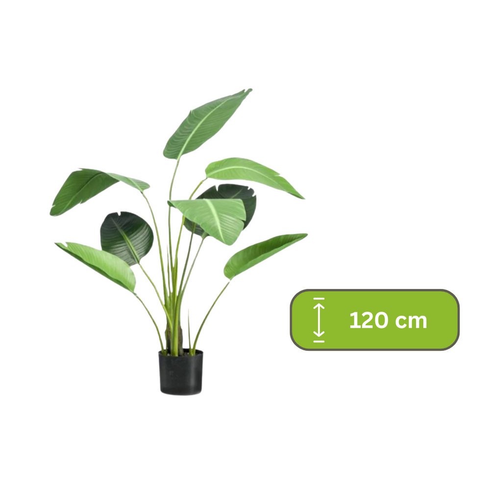 Kunstplant - Strelitzia nicolai - Paradijsvogelbloem