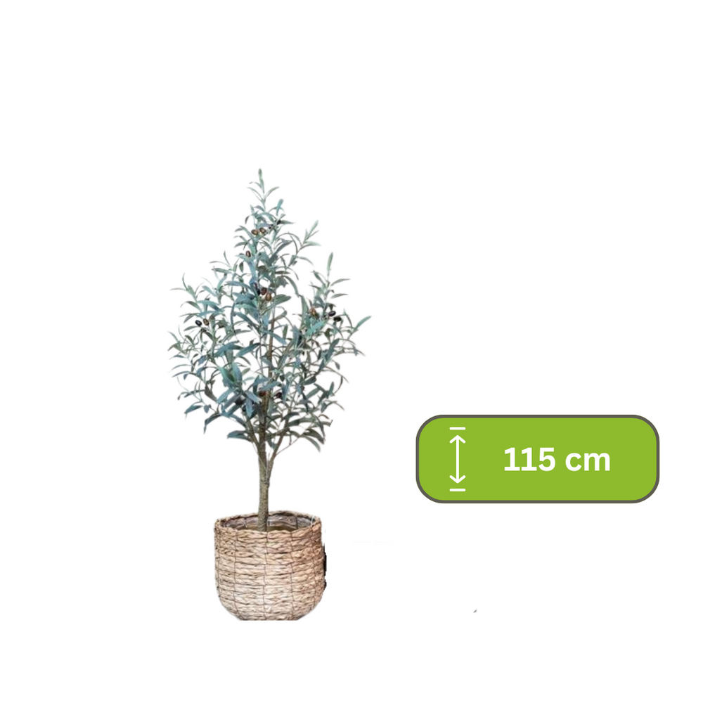 Kunst Olijfboom -  Olea europaea - Olijfboom - 115 cm