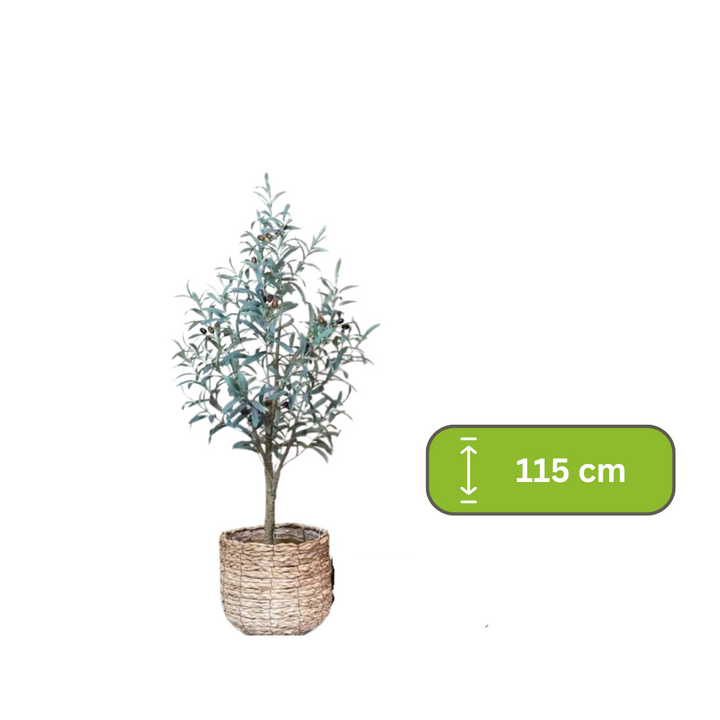 Kunst Olijfboom -  Olea europaea - Olijfboom - 115 cm