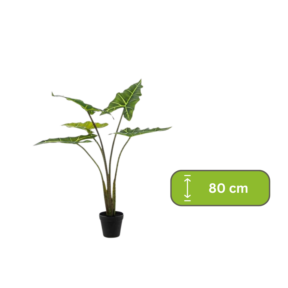 Kunstplant - Alocasia Frydek - Olifantsoor - 80 cm