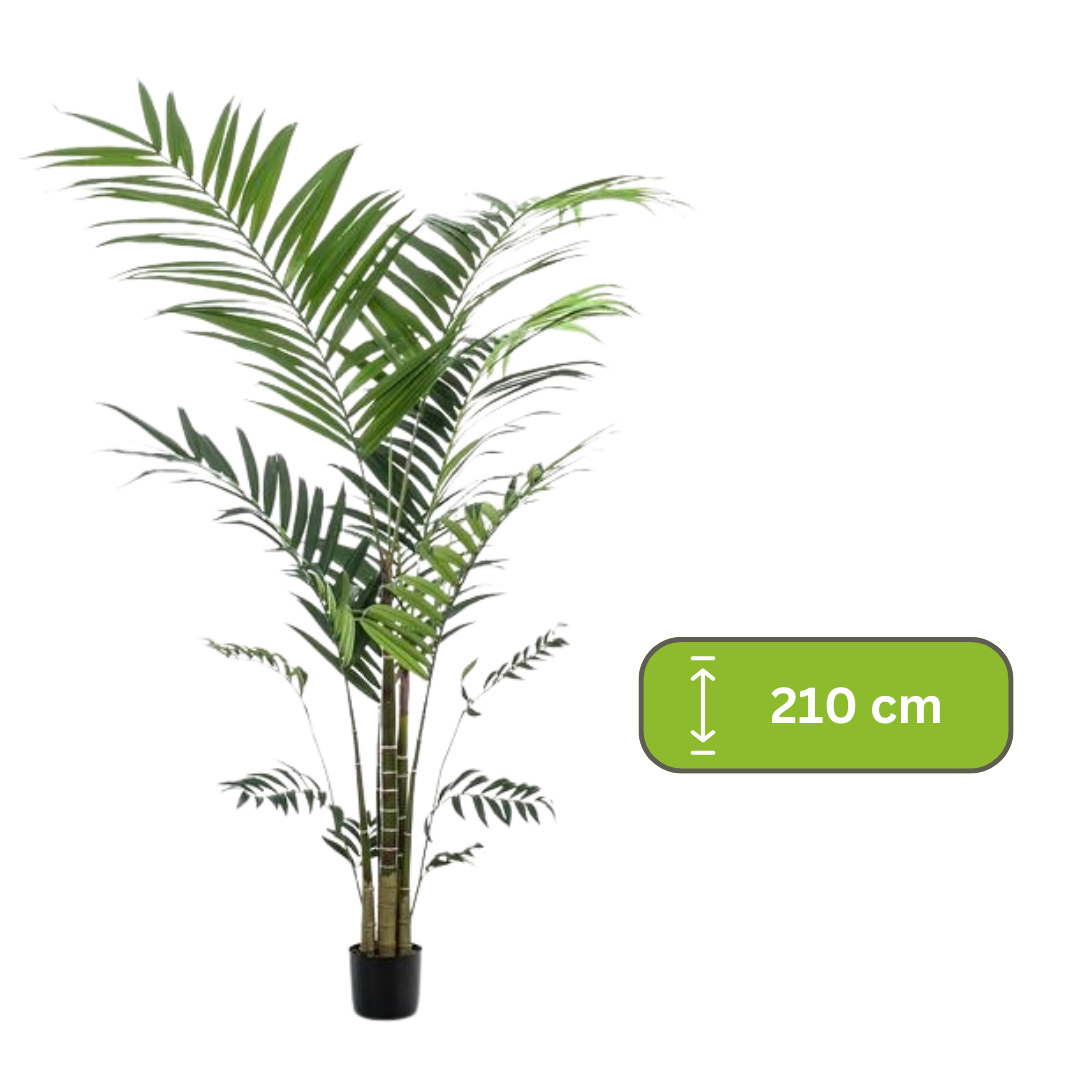 Kunstplant - Kentia -Kentiapalm - 210cm