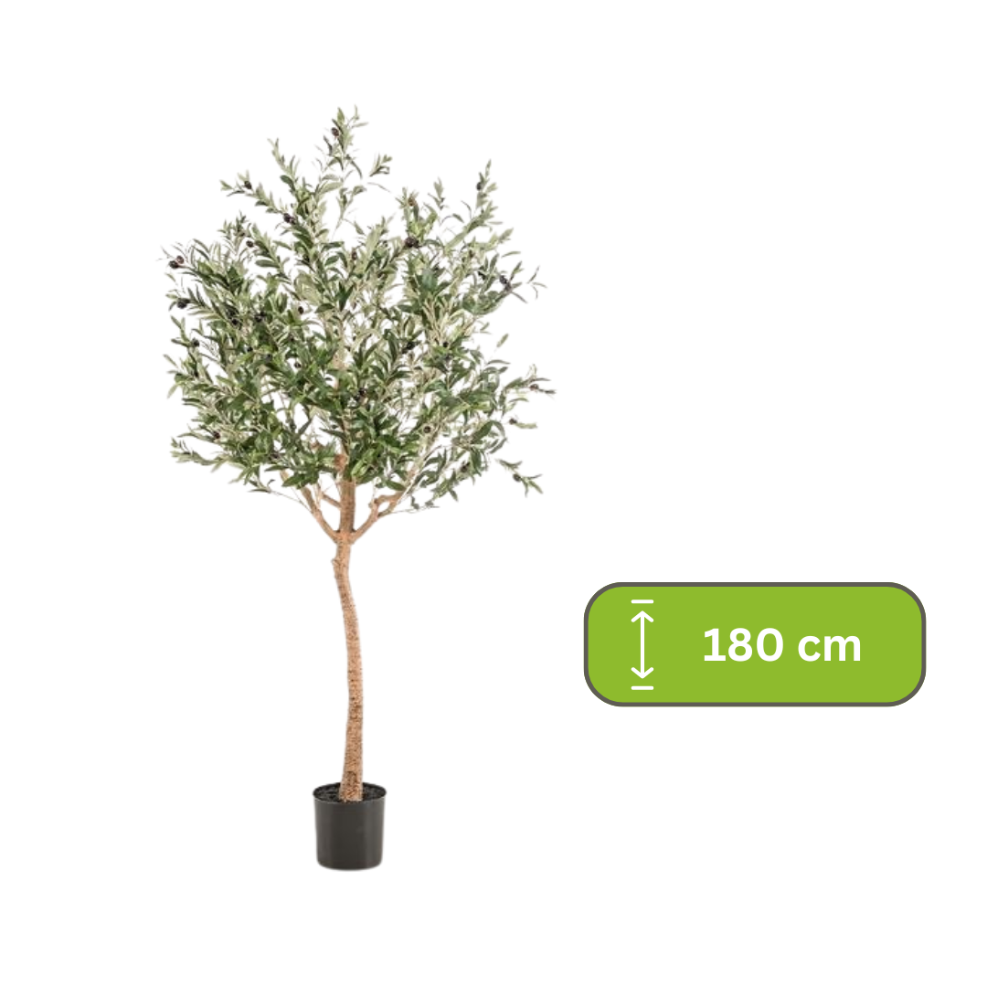 Kunst Olijfboom -  Olea europaea - Olijfboom - 180 cm