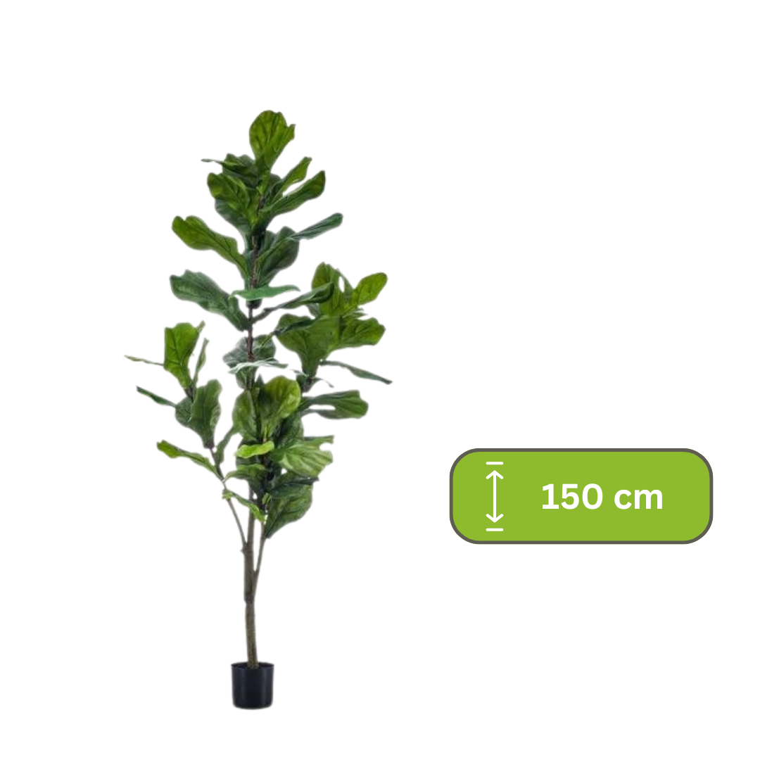 kunstplant - Ficus Lyrata  - Tabaksplant - 150cm