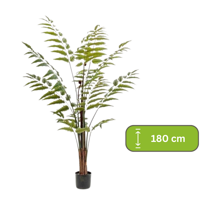 Kunstplant - Rumohra Adiantiformis - Ledervaren - 180 cm