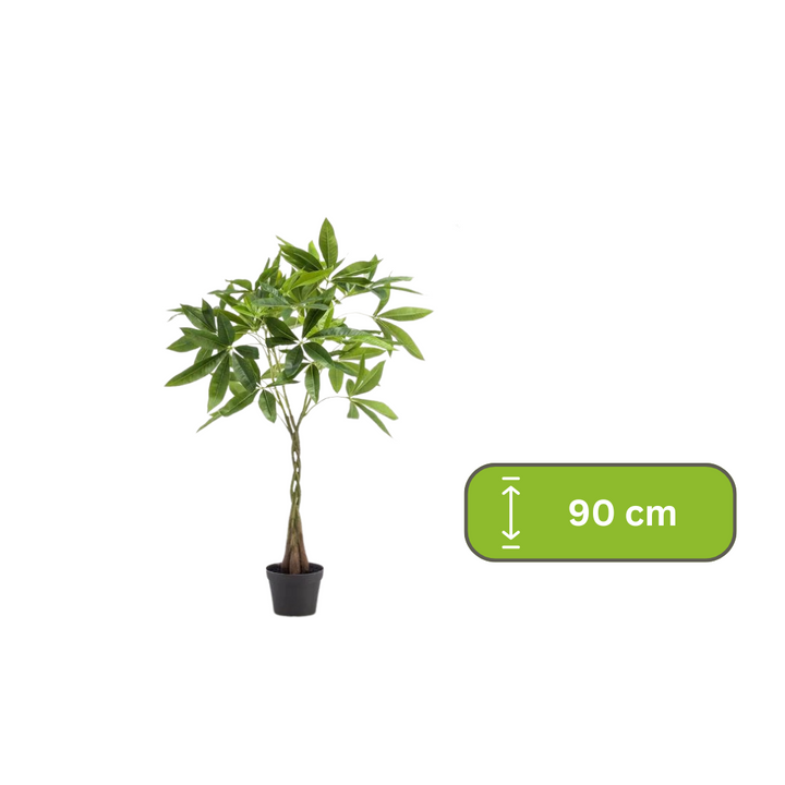 kunstplant - Pachira aquatica - Geldboom - 90cm