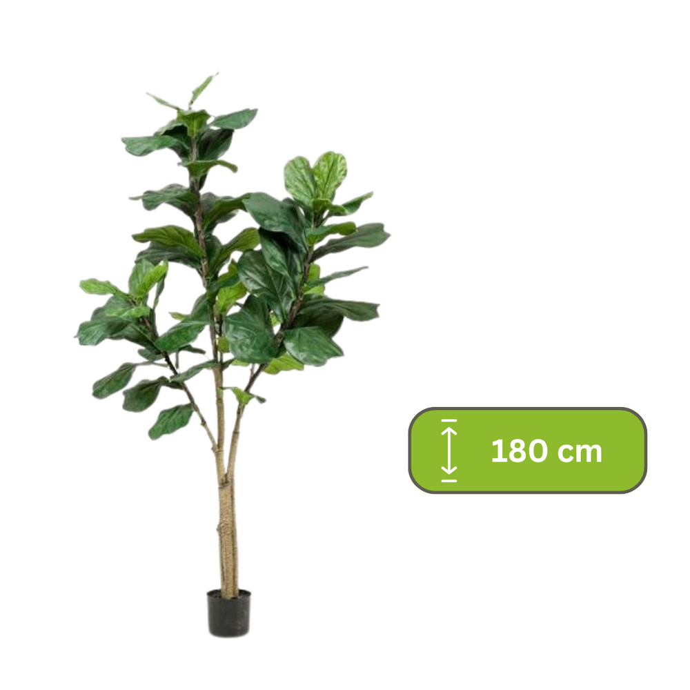 Kunstplant - Ficus Lyrata - Tabaksplant - 180 cm