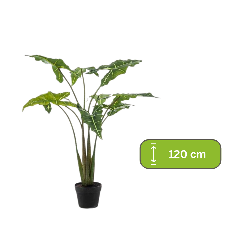 Kunstplant - Alocasia Frydek - Olifantsoor - 120 cm