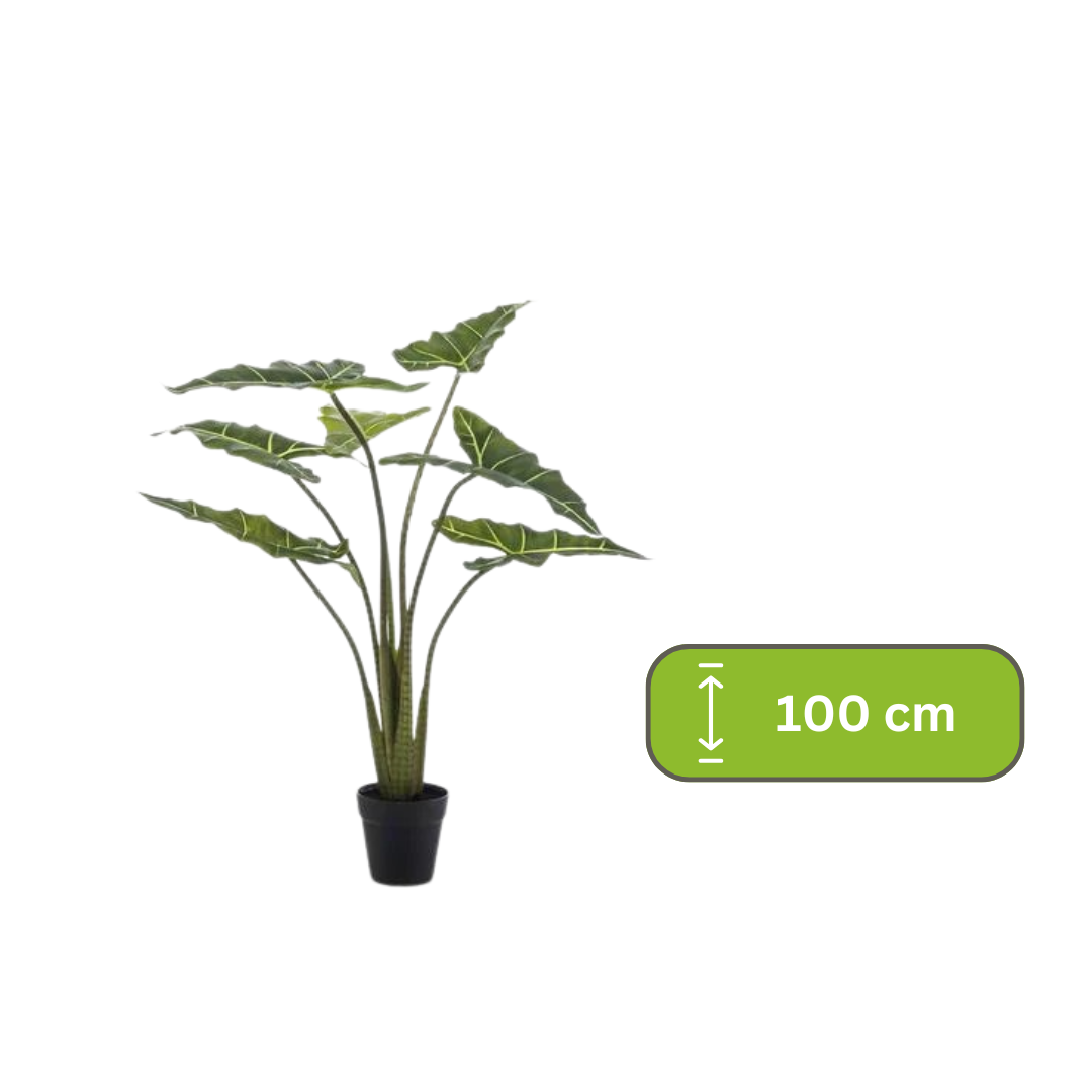 Kunstplant - Alocasia Frydek - Olifantsoor - 100 cm