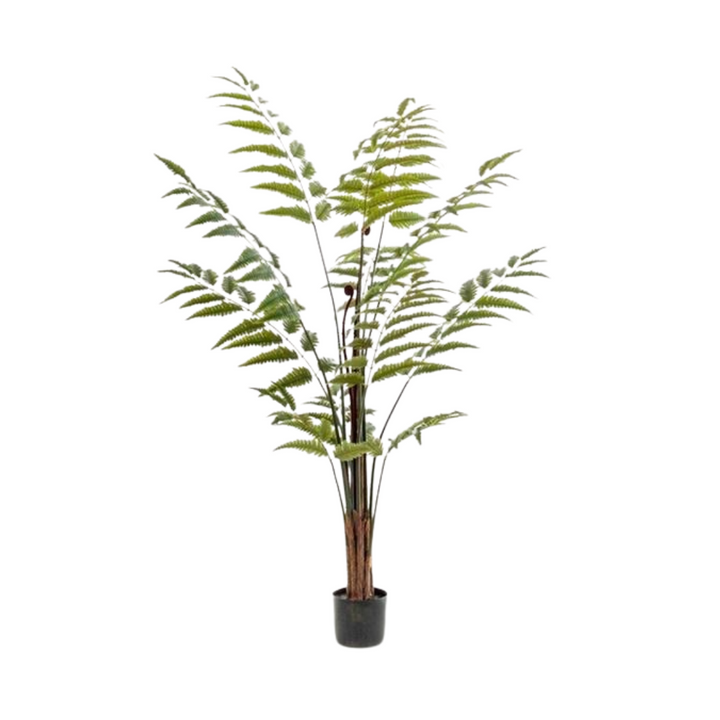 Kunstplant - Rumohra Adiantiformis - Ledervaren - 150 cm