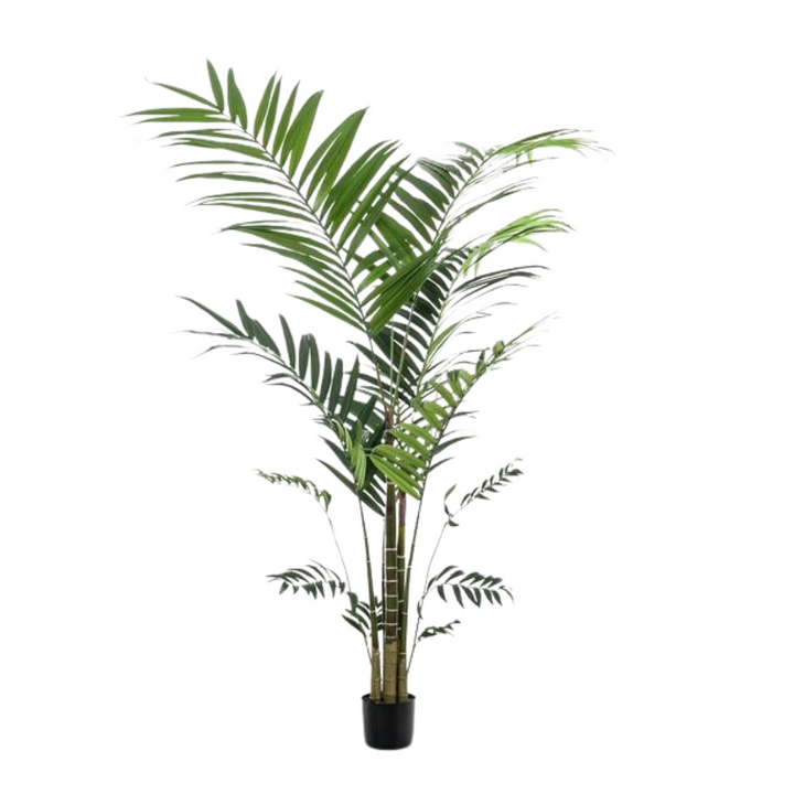 Kunstplant - Kentia -Kentiapalm - 210cm