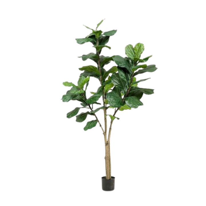 Kunstplant - Ficus Lyrata - Tabaksplant - 180 cm