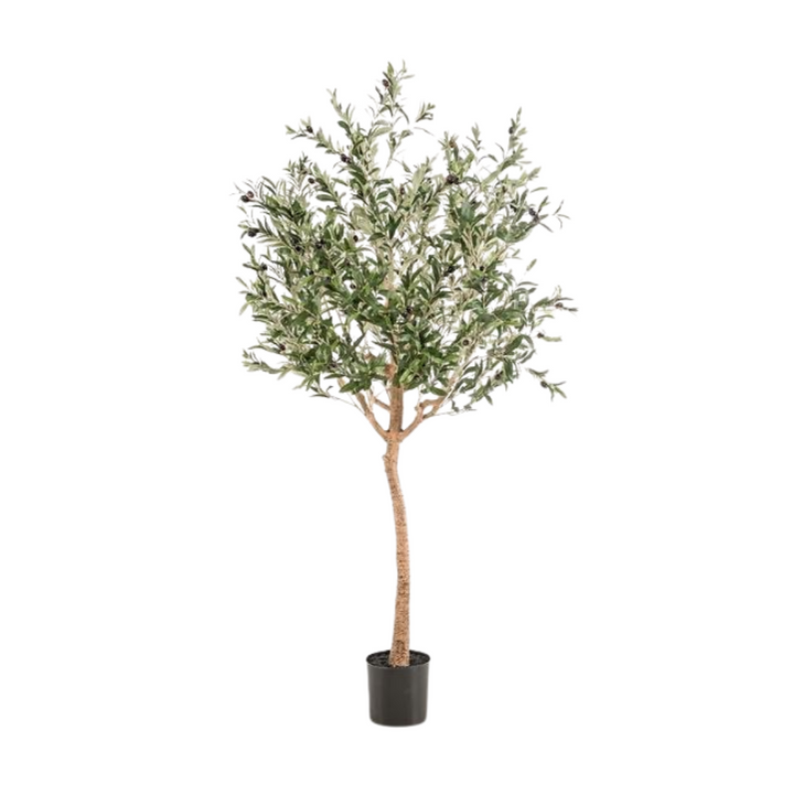 Kunst Olijfboom -  Olea europaea - Olijfboom - 180 cm