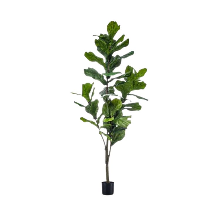 kunstplant - Ficus Lyrata  - Tabaksplant - 150cm