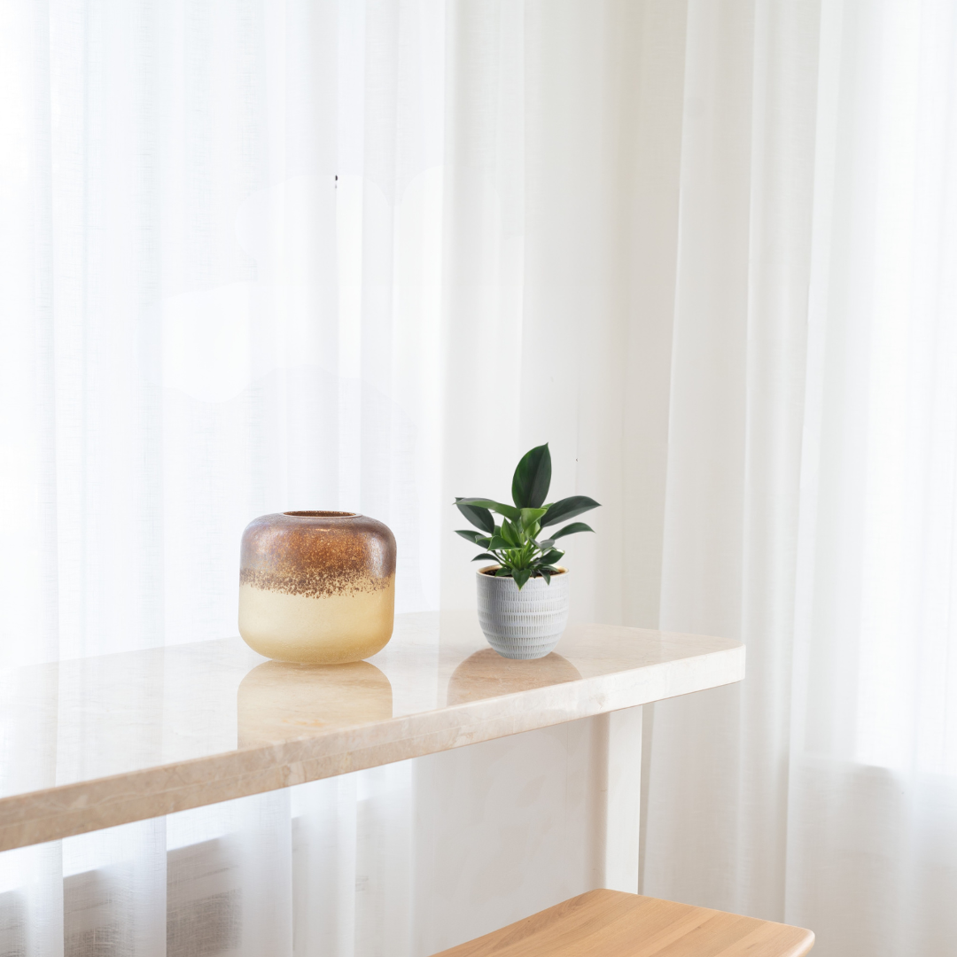Philodendron Green Princess – Groene Sierprinses
