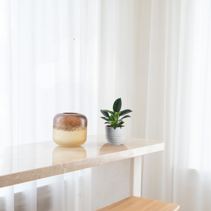 Philodendron Green Princess – Groene Sierprinses