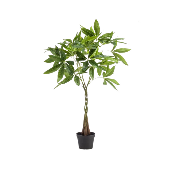 kunstplant - Pachira aquatica - Geldboom - 90cm