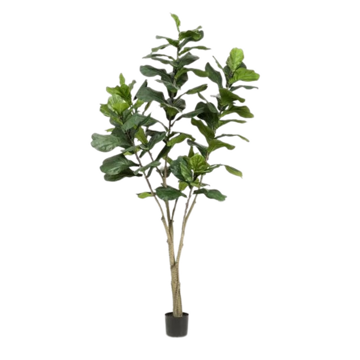 Kunstplant - Ficus Lyrara - Tabaksplant - 210cm