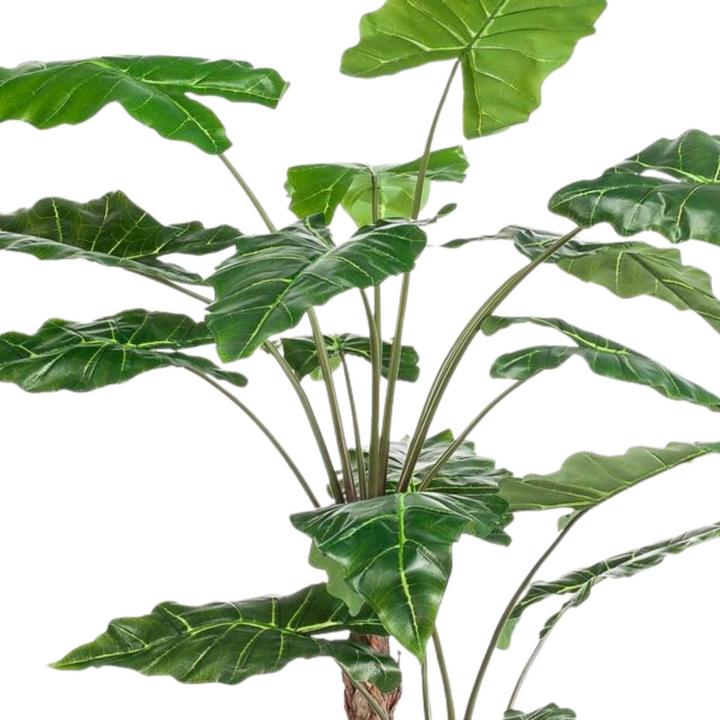 Kunstplant - Alocasia - Olifantsoor - 180 cm