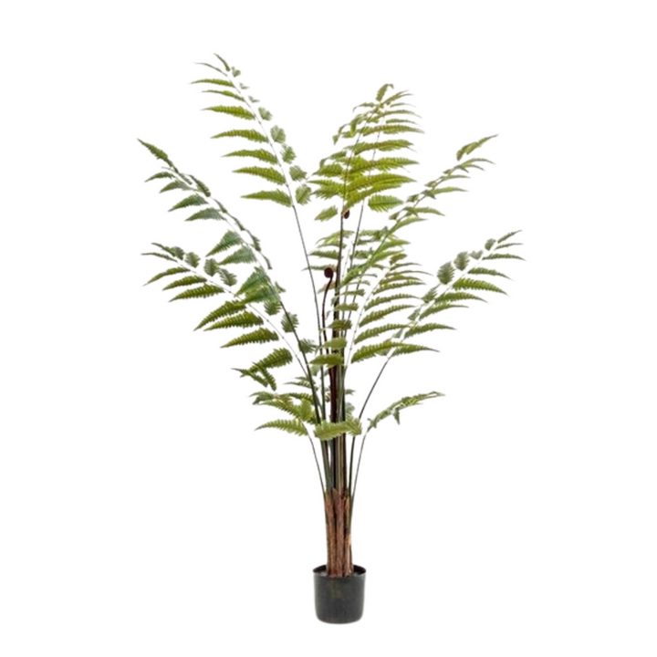 Kunstplant - Rumohra Adiantiformis - Ledervaren - 180 cm