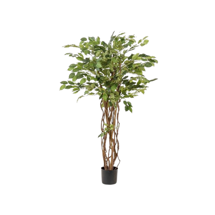 kunstplant - Ficus liana  - Vioolbladplant - 140cm