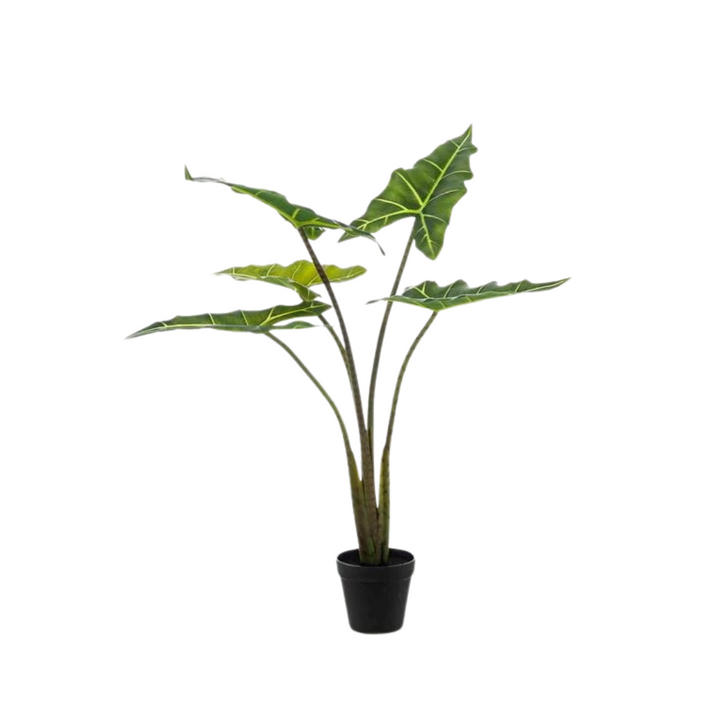 Kunstplant - Alocasia Frydek - Olifantsoor - 80 cm