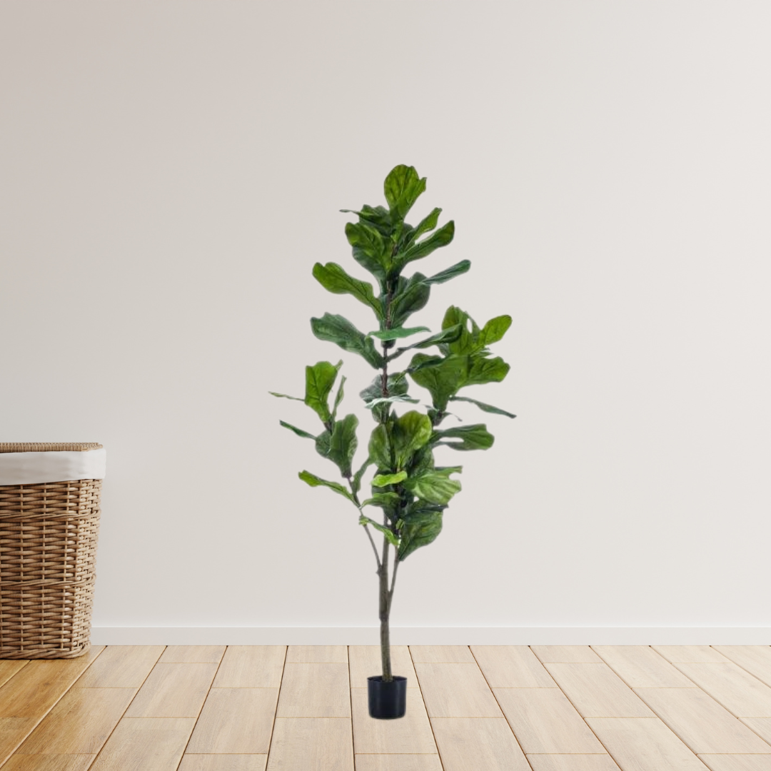 kunstplant - Ficus Lyrata  - Tabaksplant - 150cm