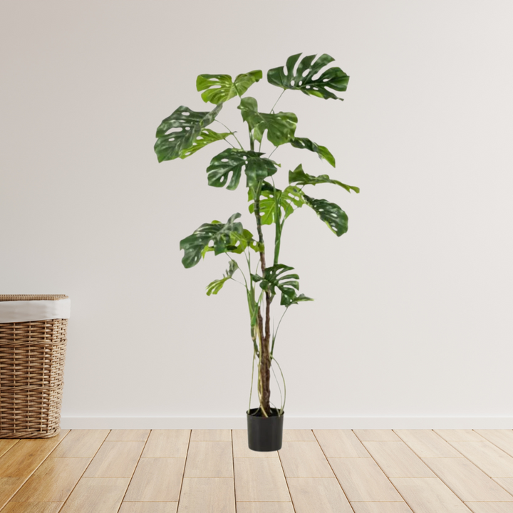 kunstplant - Monstera  - Gatenplant - 180cm