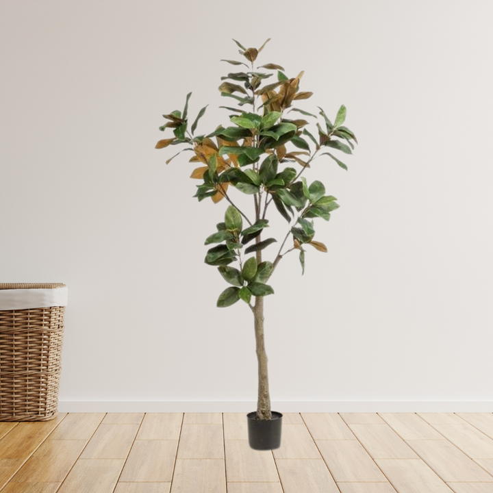 Kunstplant - Magnolia Grandiflora - 180 cm