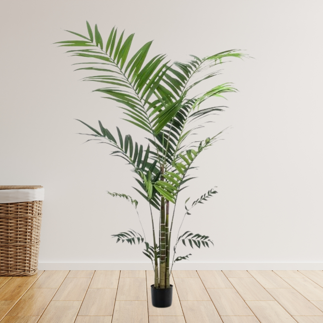 Kunstplant - Kentia -Kentiapalm - 210cm