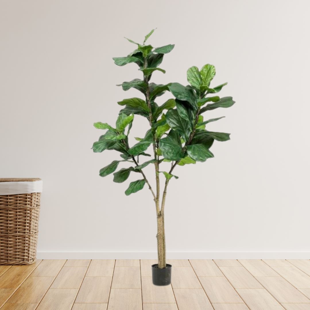 Kunstplant - Ficus Lyrata - Tabaksplant - 180 cm
