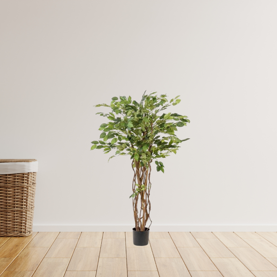 kunstplant - Ficus liana  - Vioolbladplant - 140cm
