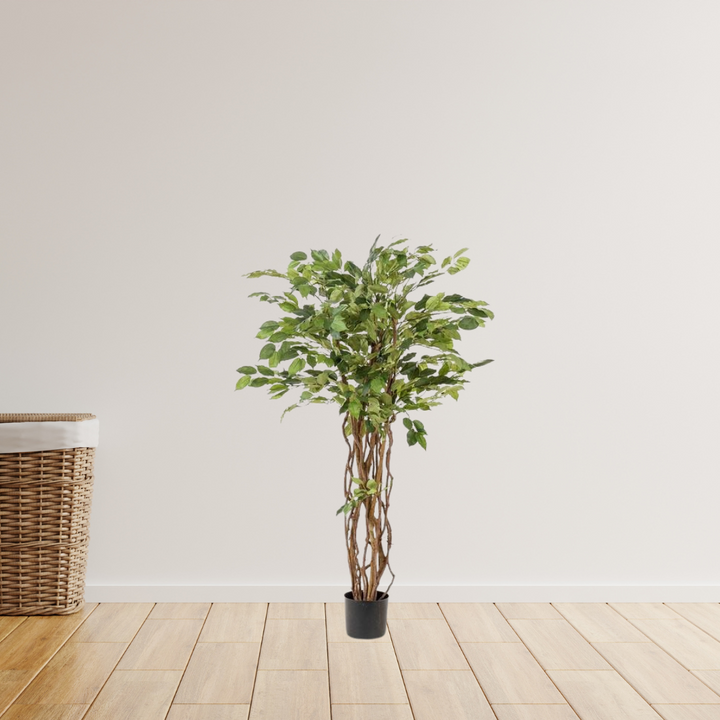 kunstplant - Ficus liana  - Vioolbladplant - 140cm