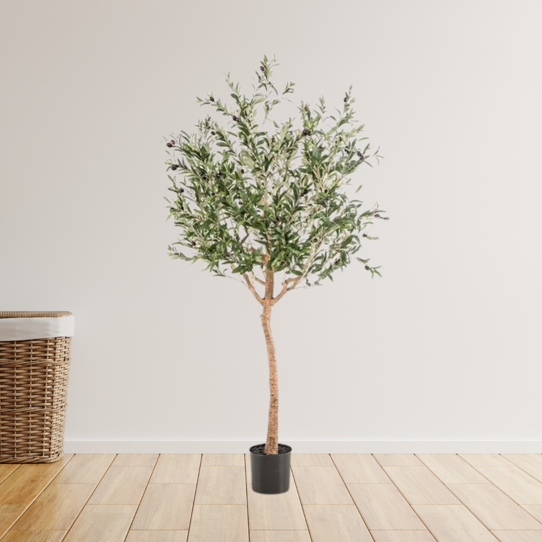 Kunst Olijfboom -  Olea europaea - Olijfboom - 180 cm