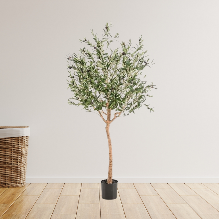 Kunst Olijfboom -  Olea europaea - Olijfboom - 180 cm