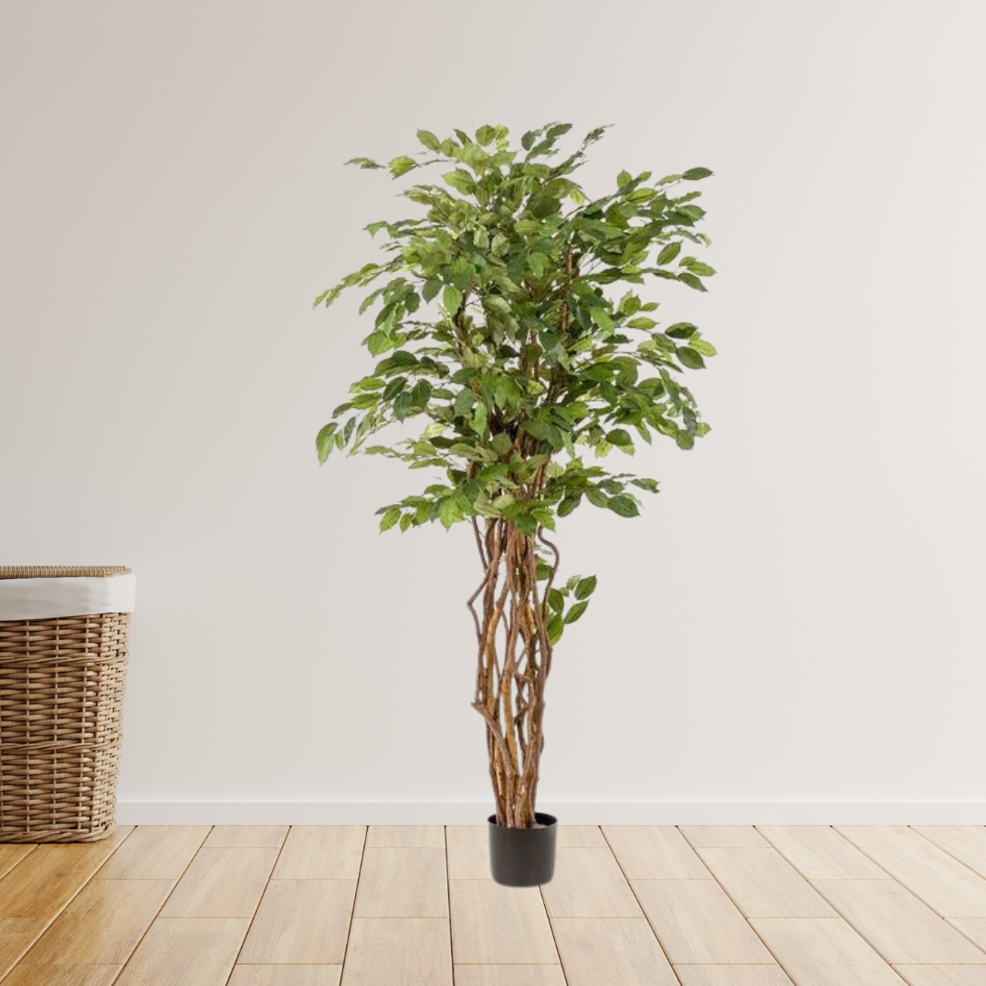 kunstplant - Ficus liana  - Vioolbladplant - 170cm