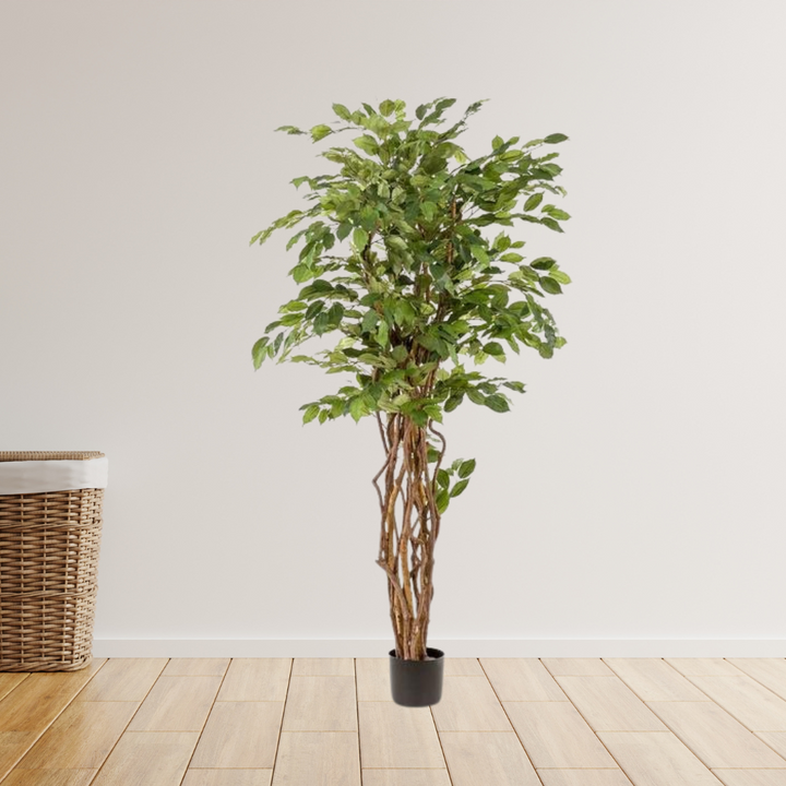 kunstplant - Ficus liana  - Vioolbladplant - 170cm