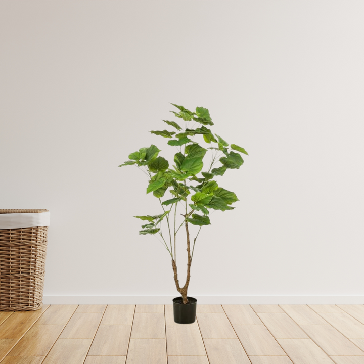 Kunstplant - Ficus umbellate - Afrikaanse vijg