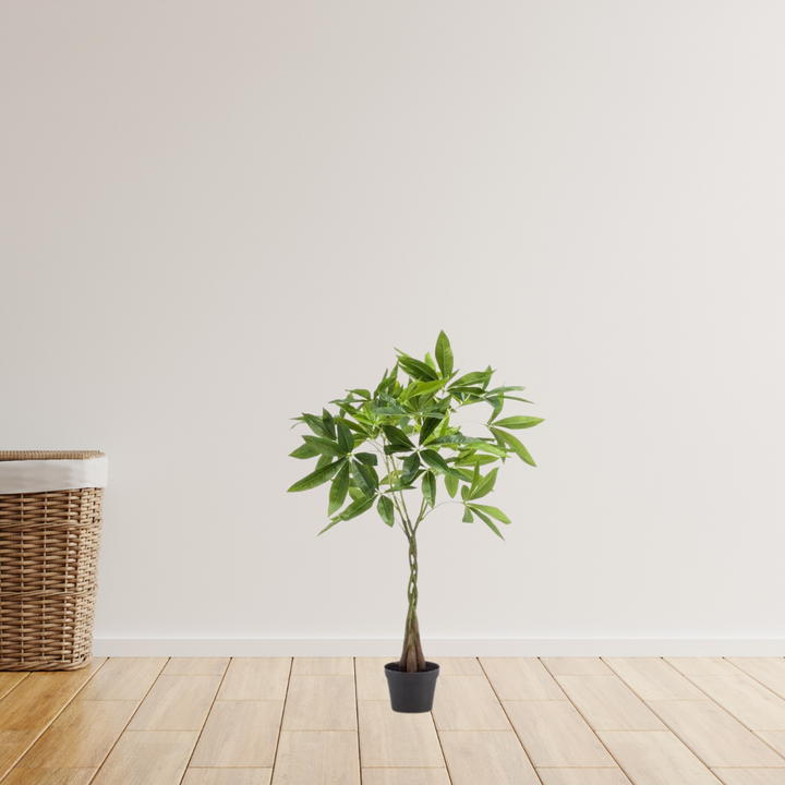 kunstplant - Pachira aquatica - Geldboom - 90cm