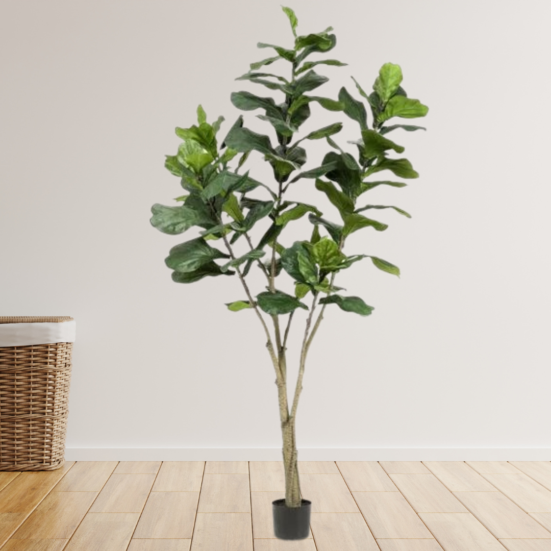 Kunstplant - Ficus Lyrara - Tabaksplant - 210cm