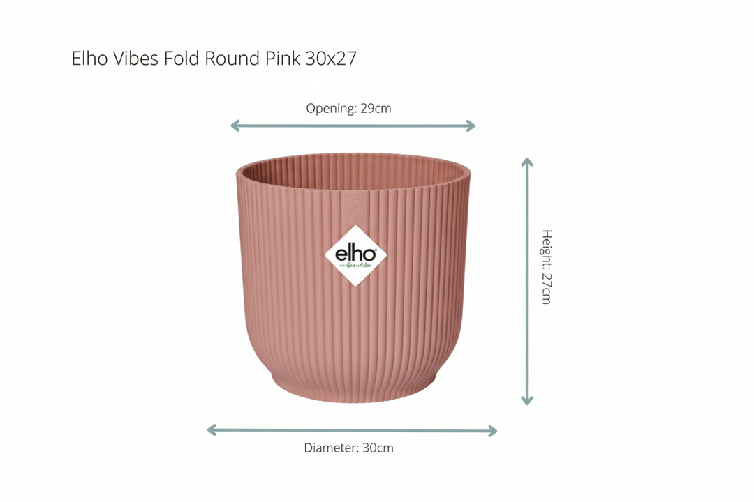 Offre combinée - Kentia palmier avec pot elho Vibes Fold Round - 180 cm