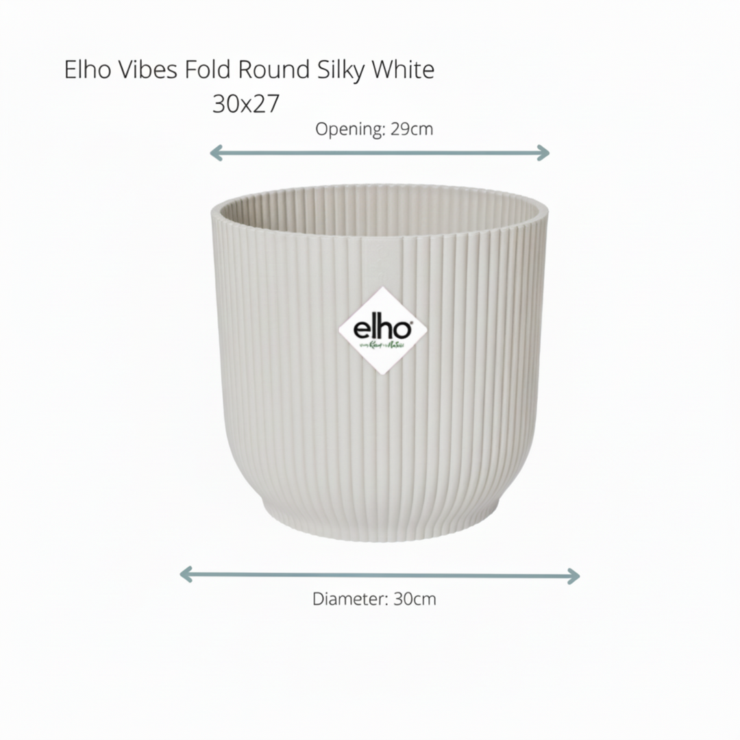 Offre combinée - Kentia palmier avec pot elho Vibes Fold Round - 180 cm