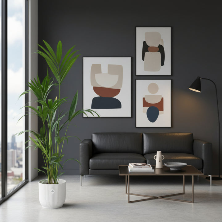 Offre combinée - Kentia Palm avec elho Vibes Fold Round - 160 cm